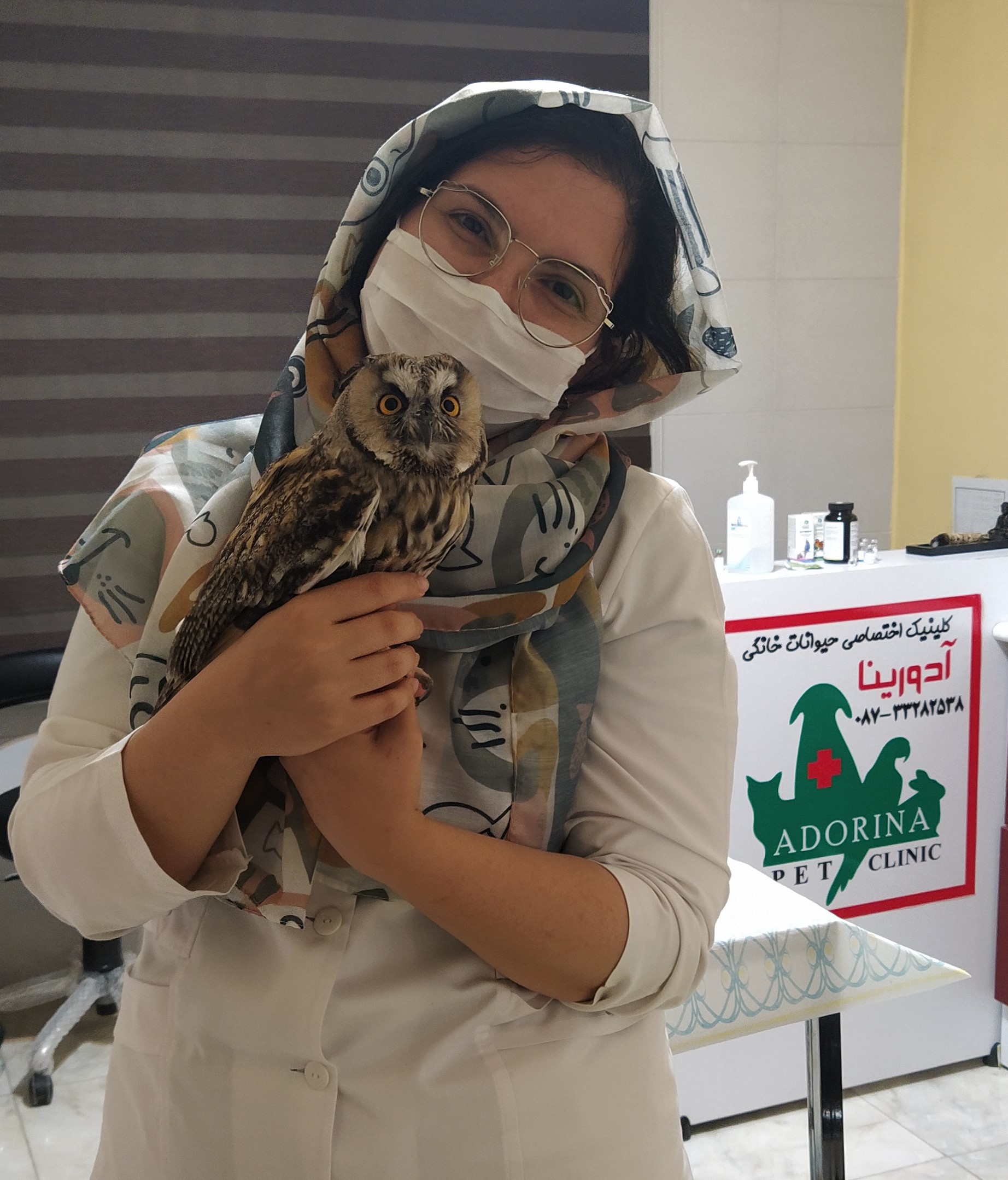 داستان نجات جغد گوش‌دراز: یک ماجرای پر از امید و تعهد در کلینیک دامپزشکی آدورینا
