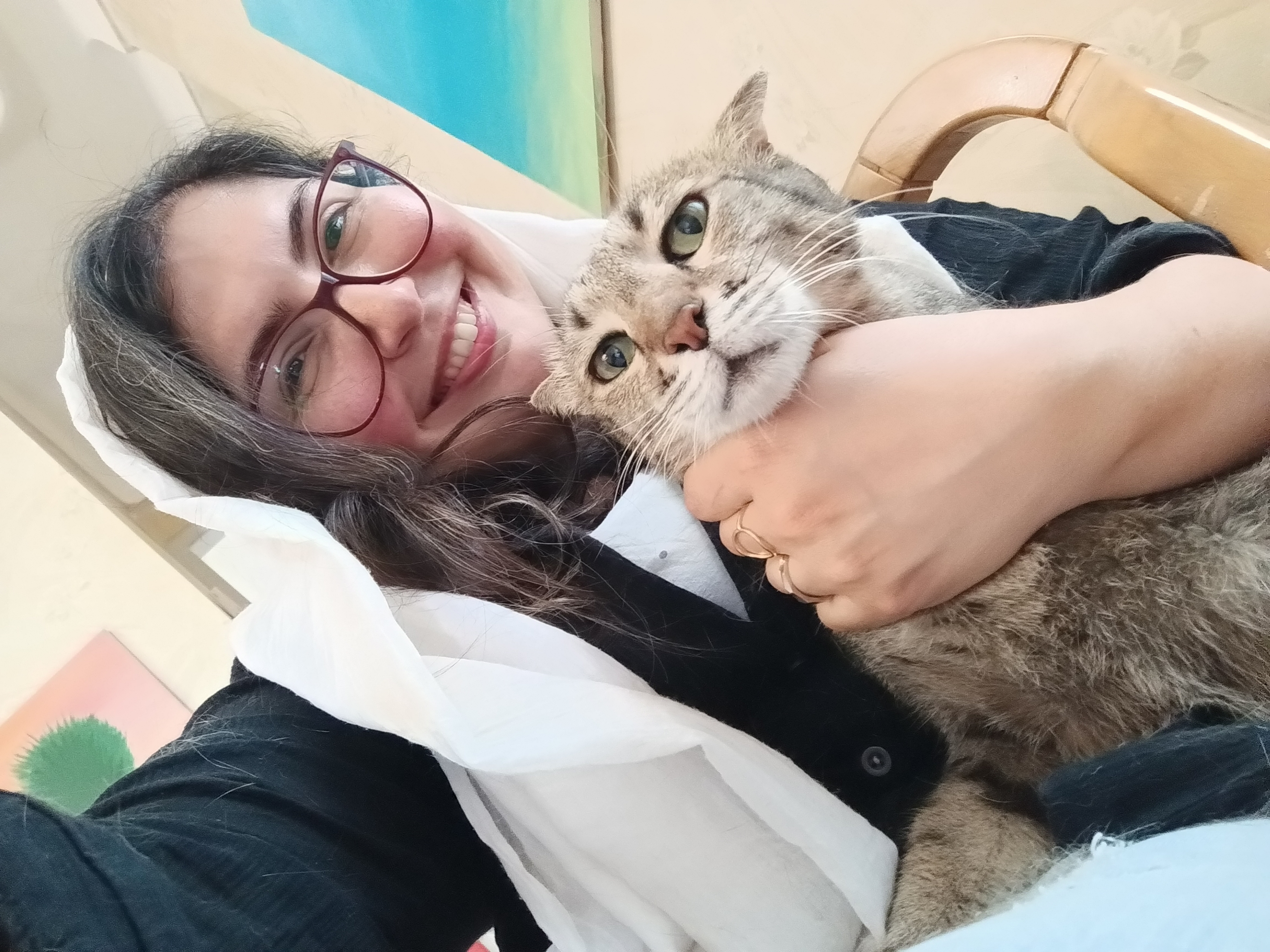 مراقبت از حیوانات خانگی در شرایط اضطراری و جنگ ایران و اسرائیل: راهنمای کامل برای صاحبان حیوانات در سنندج و کردستان