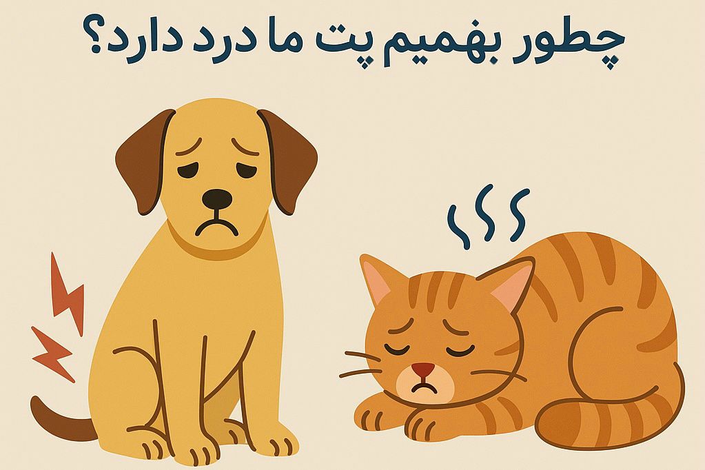 علائم پنهان درد در حیوانات خانگی:چطور بفهمیم پت ما درد داره؟