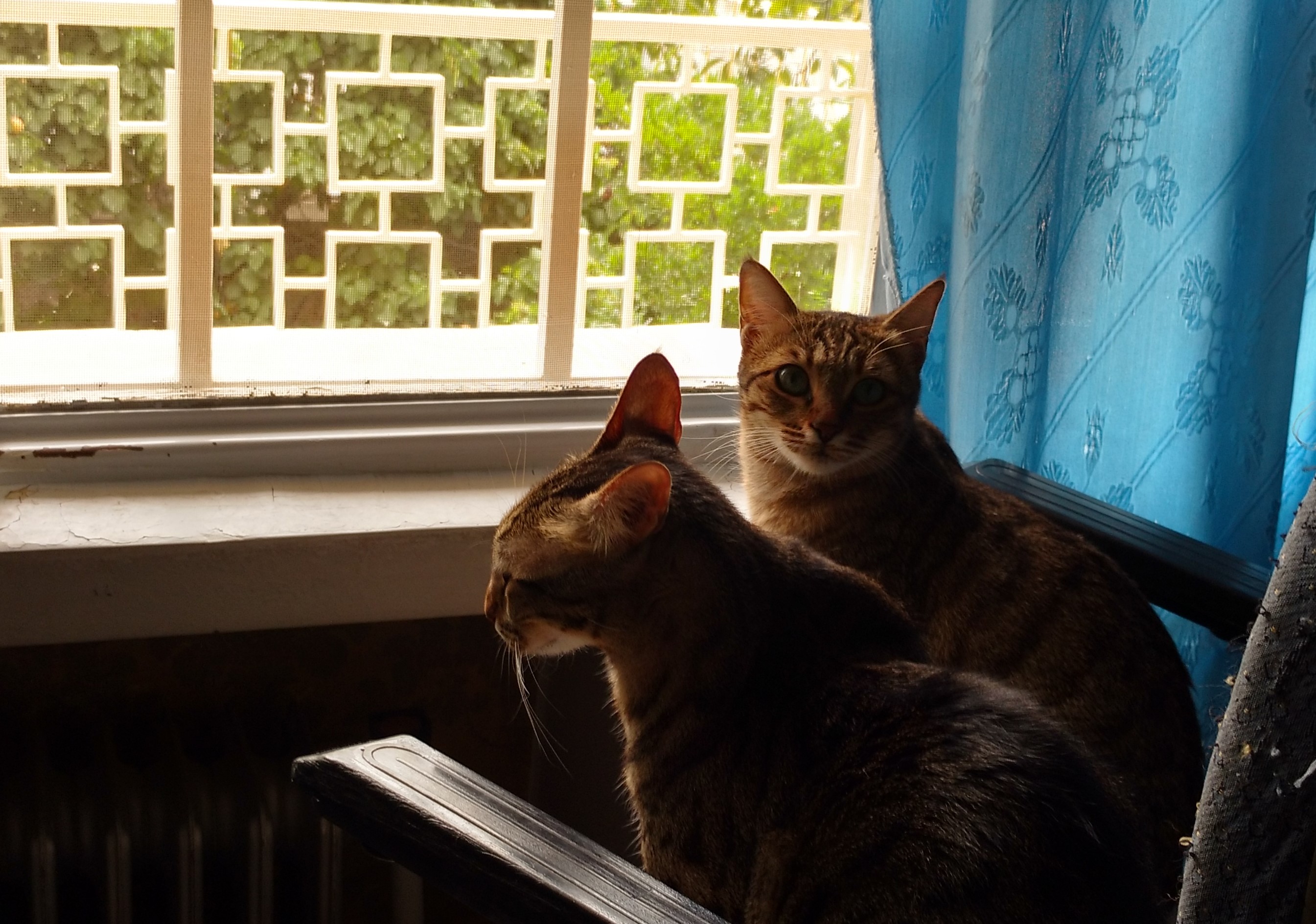 چک لیست تمیزکاری های بهاری