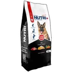 غذای خشک سگ بالغ نژاد بزرگ نوتری با پروتئین %30 بسته 15 کیلویی