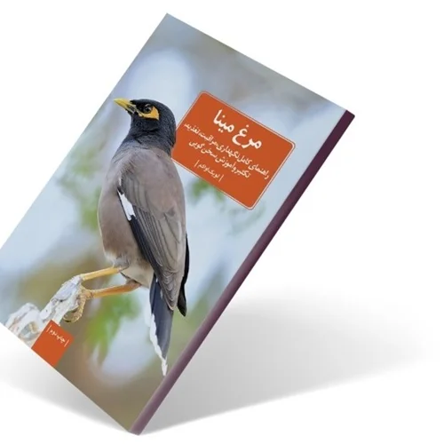 کتاب مرغ مینا